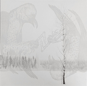 The Rime Of Memory