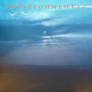 Энвайронментал