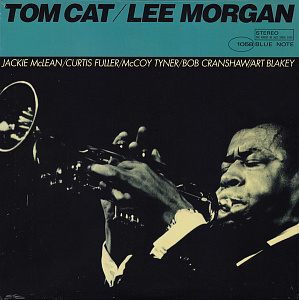 Tom Cat